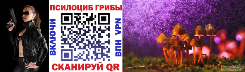 Купить где Калач Псилоцибиновые грибы мицелий